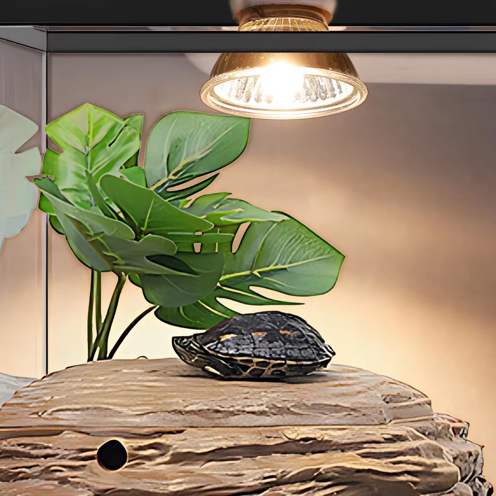25W/75W/100W Full Spectrum UVA - Calcium Powder Reptile のレビューと価格