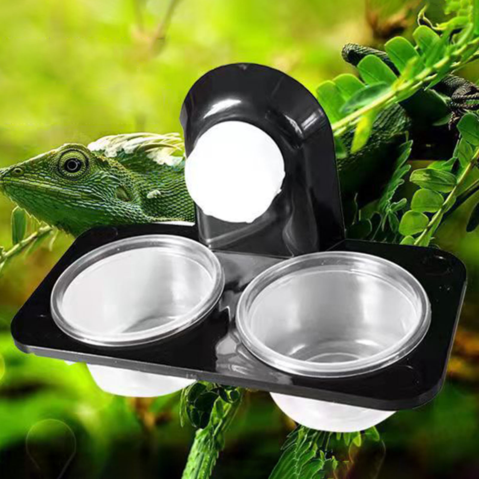 Crested Gecko Feeding Ledge Re - Water Dish Reptile のレビューと価格